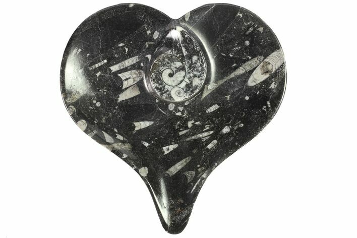 Heart Shaped Fossil Goniatite Dish #77682
